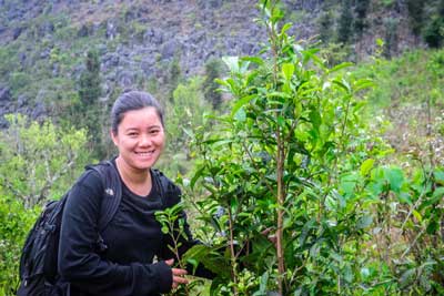 Ngoc with young wild tea tree in Ha Giang